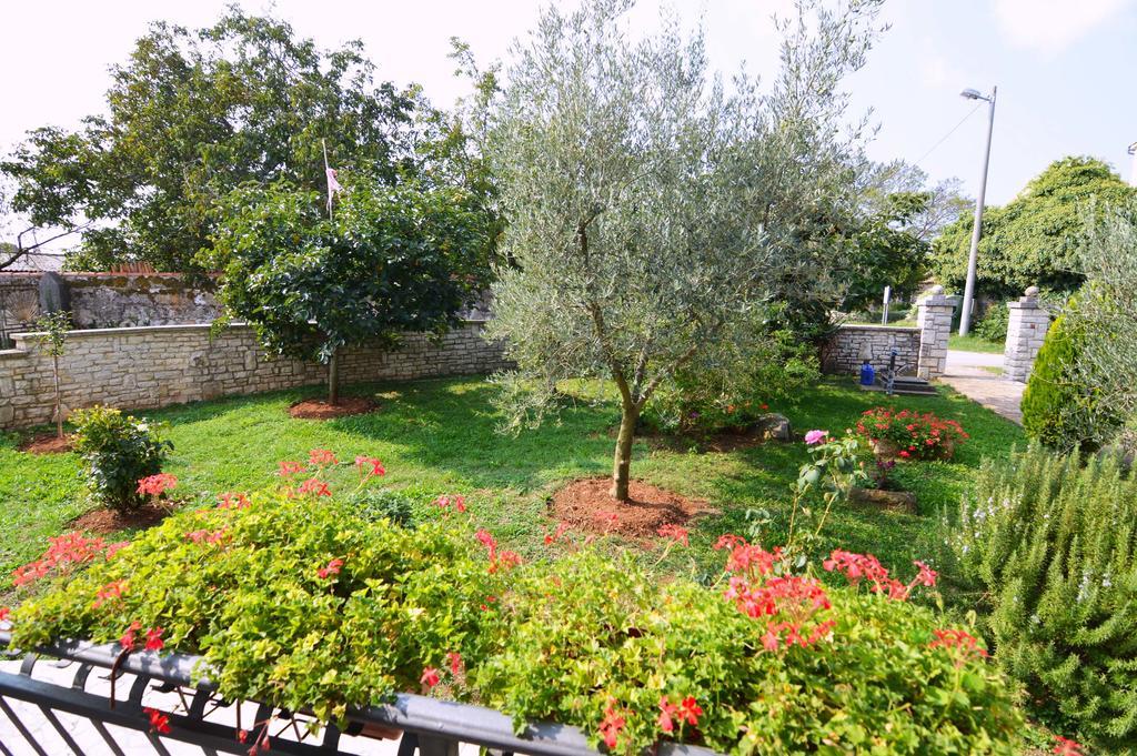 Garden Apartment Maria Vrsar Eksteriør billede